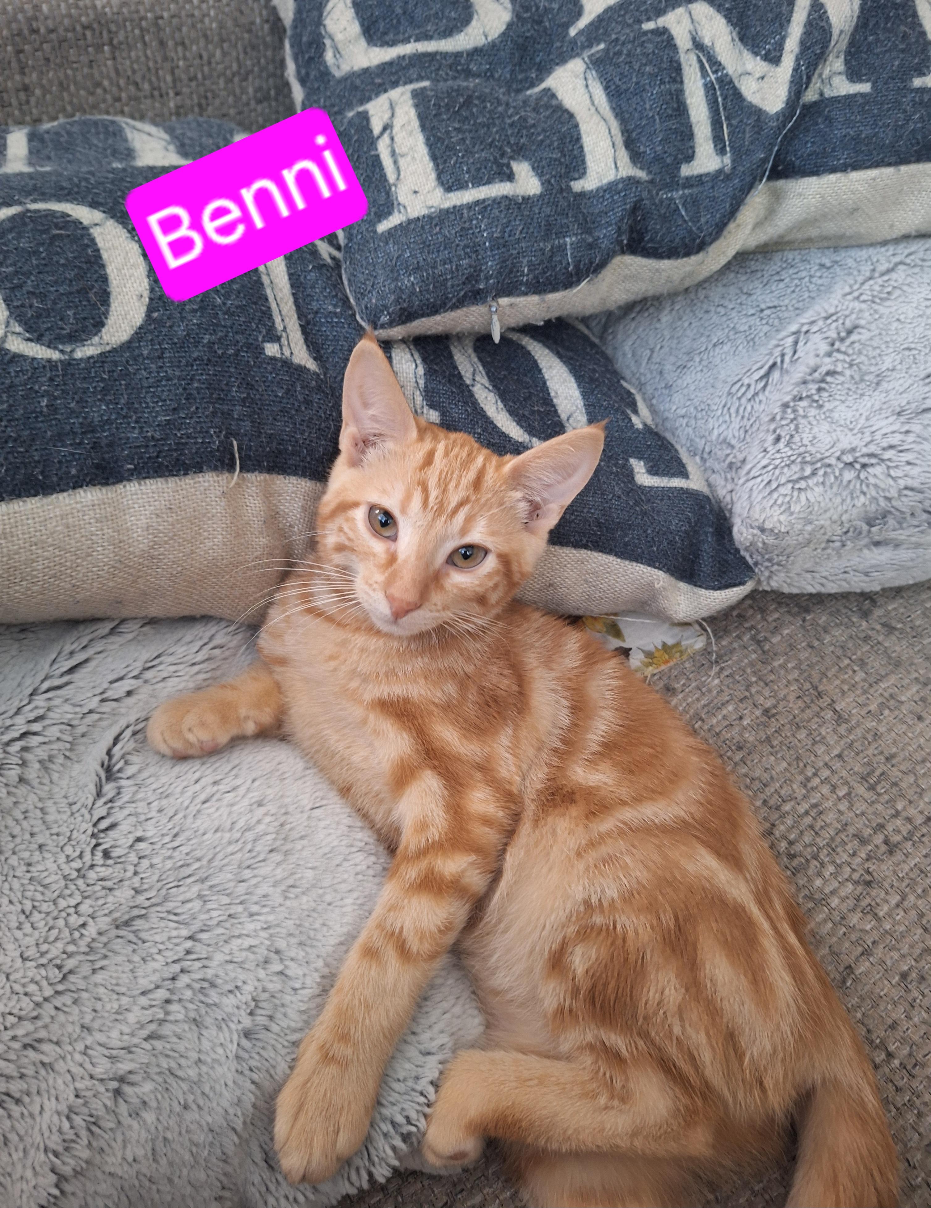 Benni