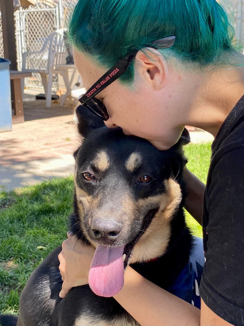 Pepper, a Adoptable mixed breed in Agua Dulce, CA image 3/7