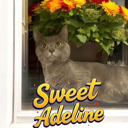 Sweet Adeline