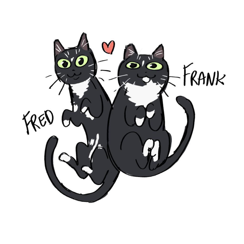 Fred, a Adoptable Domestic Short Hair in Los Angeles, CA image 3/6