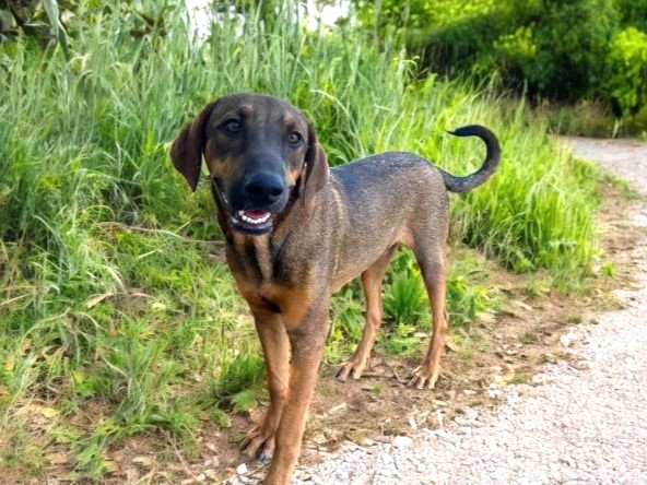 D.J. — thumbnail 2