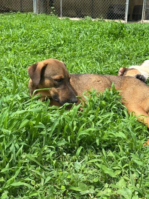 D.J. — thumbnail 4