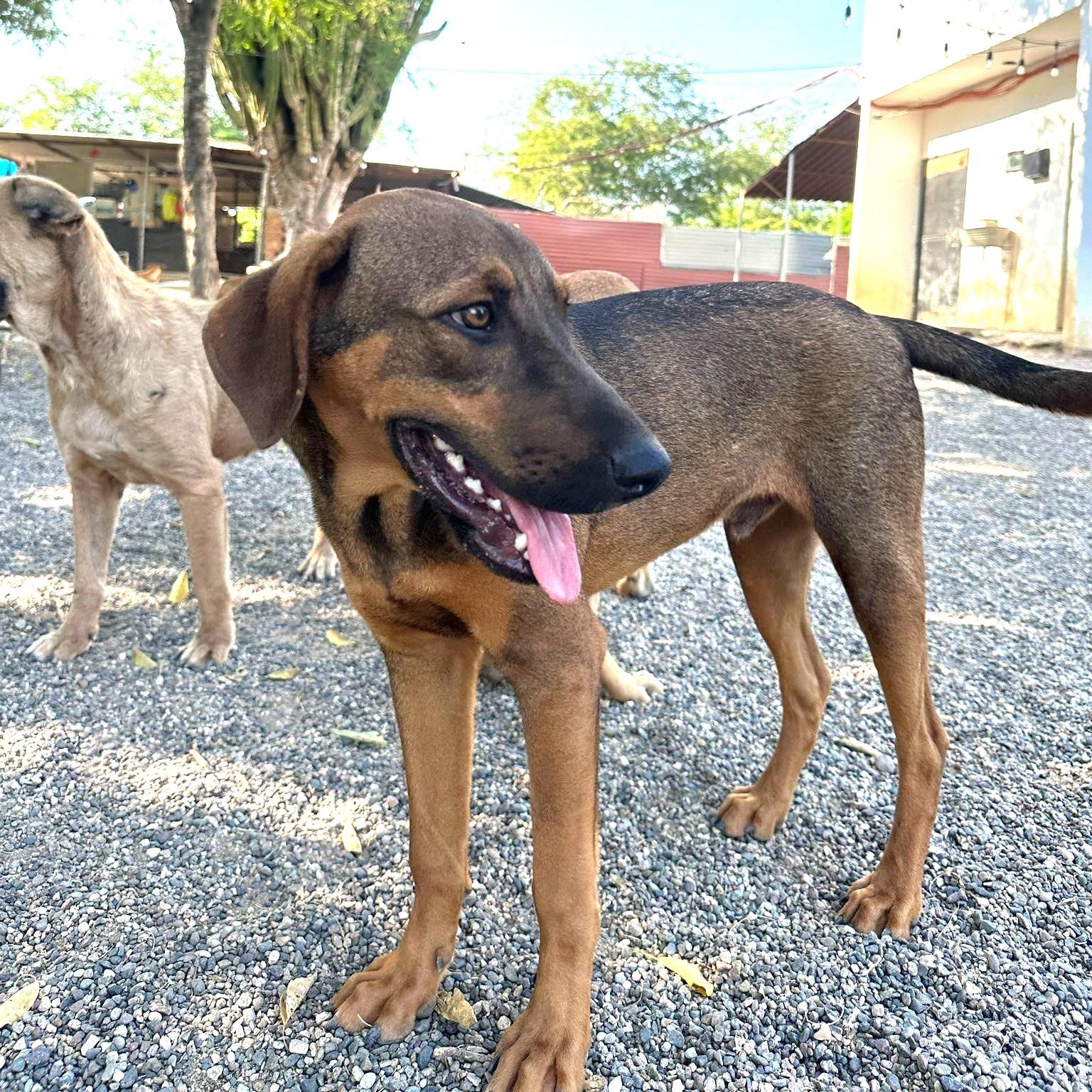 D.J. — thumbnail 6