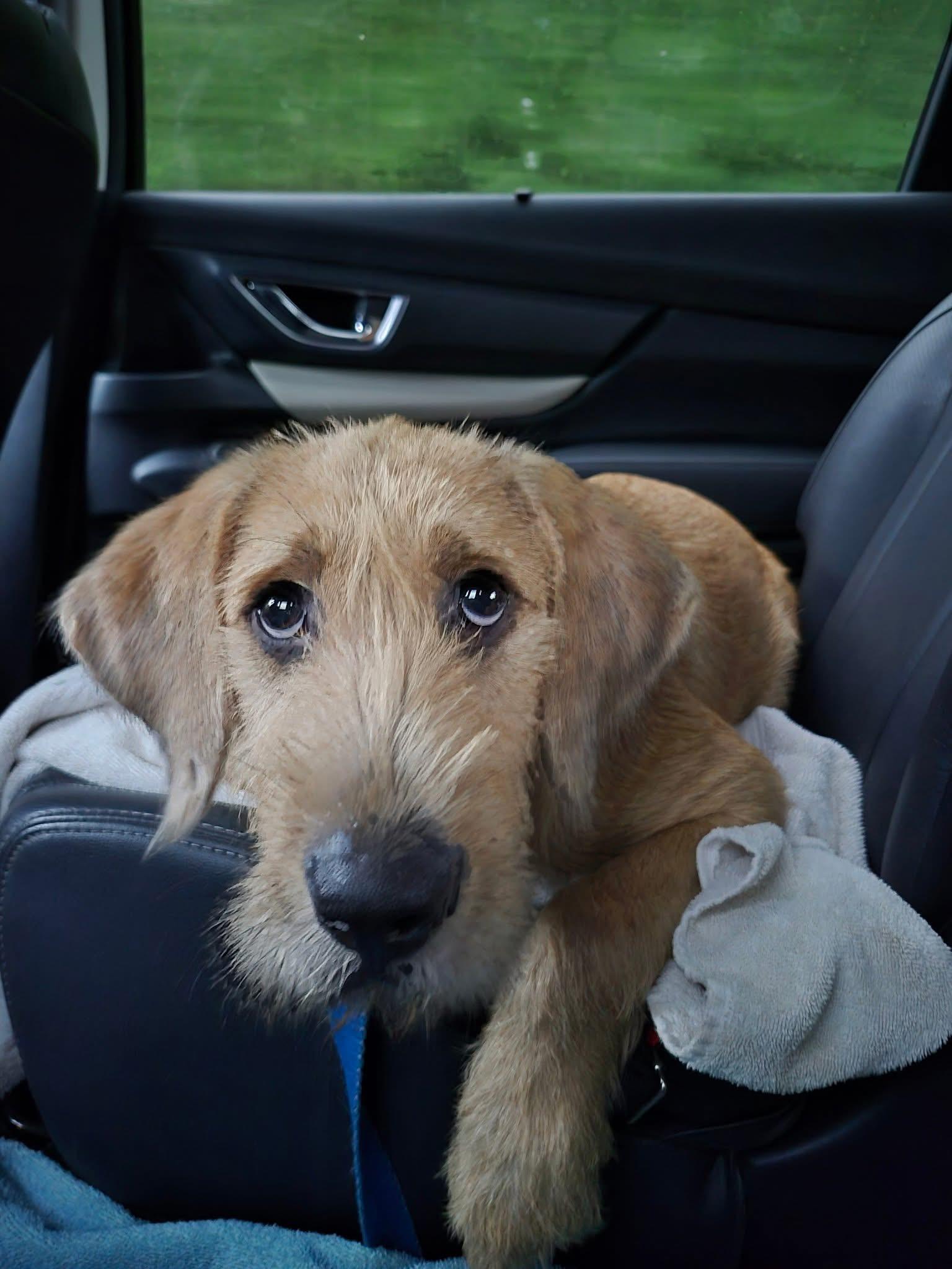 Yukon