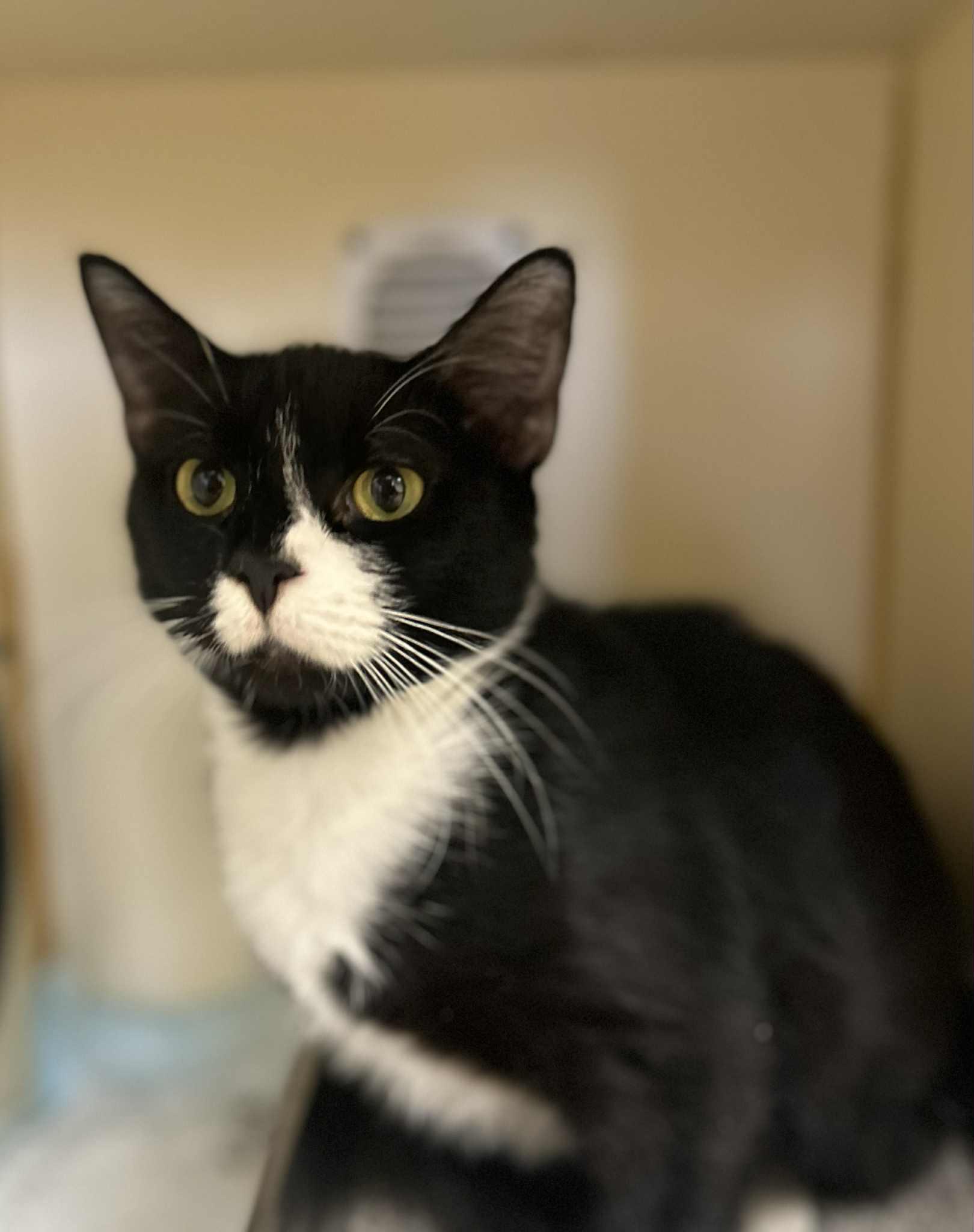 Winnie