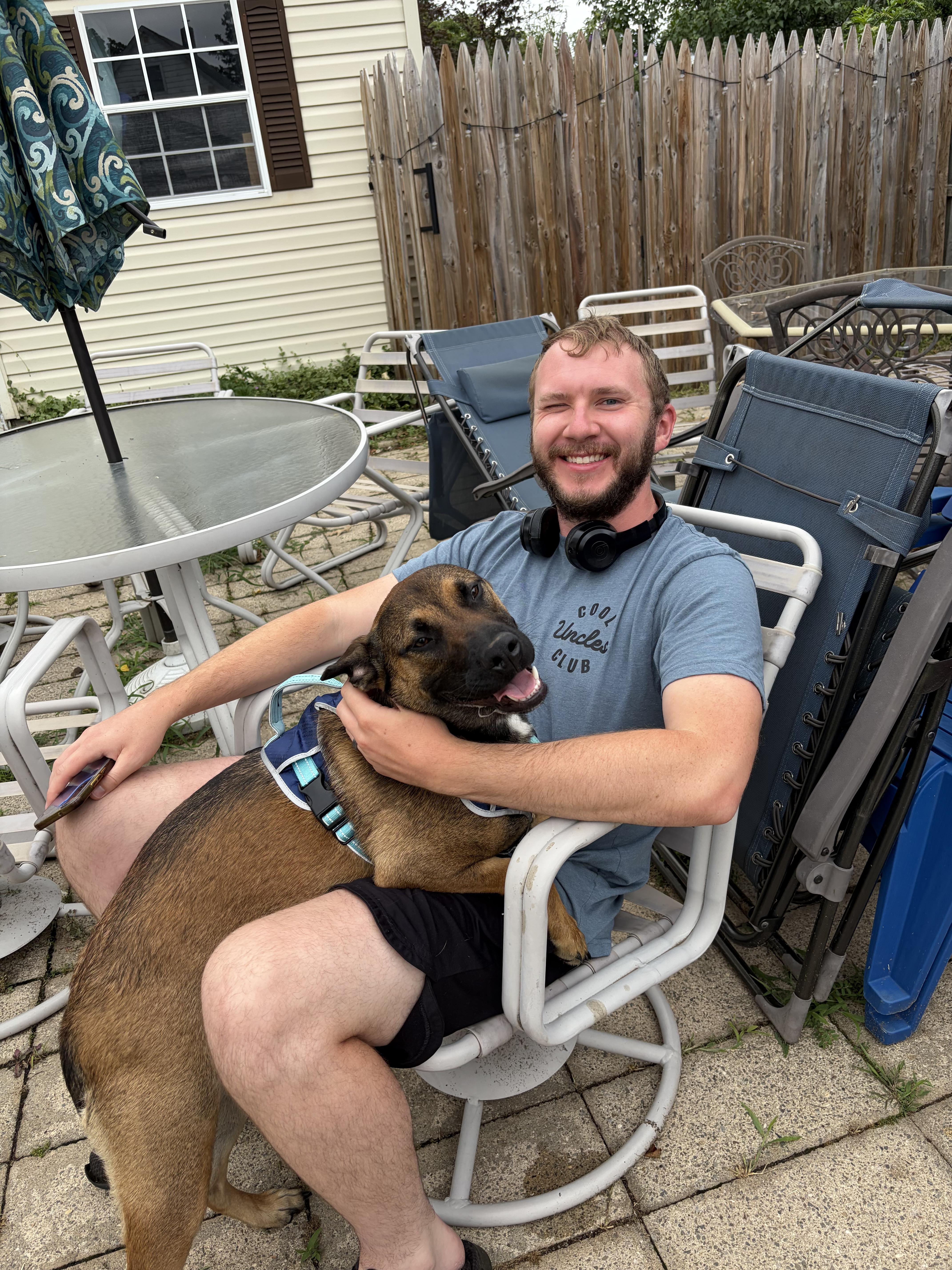 Enlarge Ozzy, a ADOPTABLE mixed breed in Oceanport, NJ image 5/6