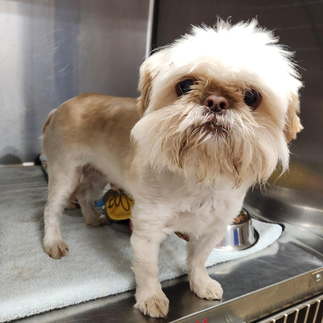 Baby Bruno thumbnail 2