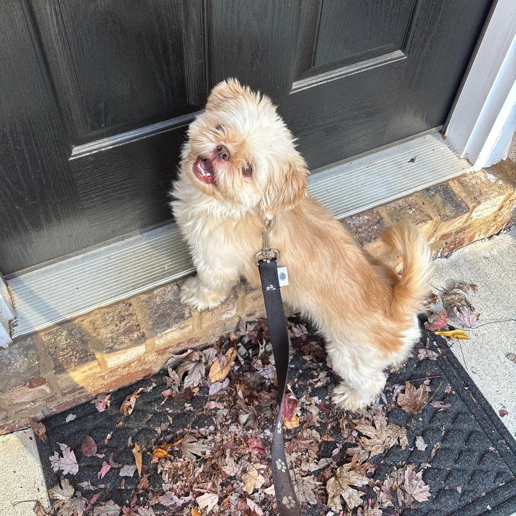 Baby Bruno thumbnail 4