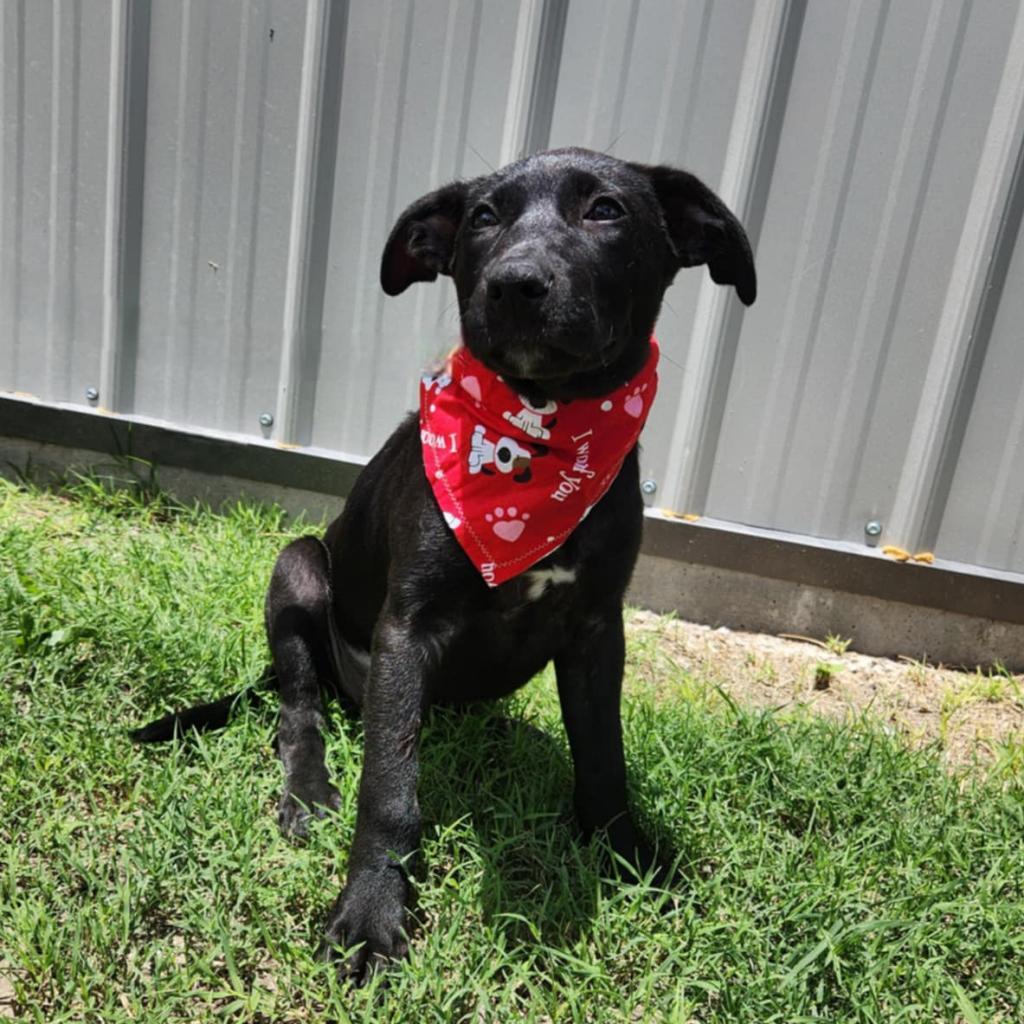 Truffles Bw thumbnail 2