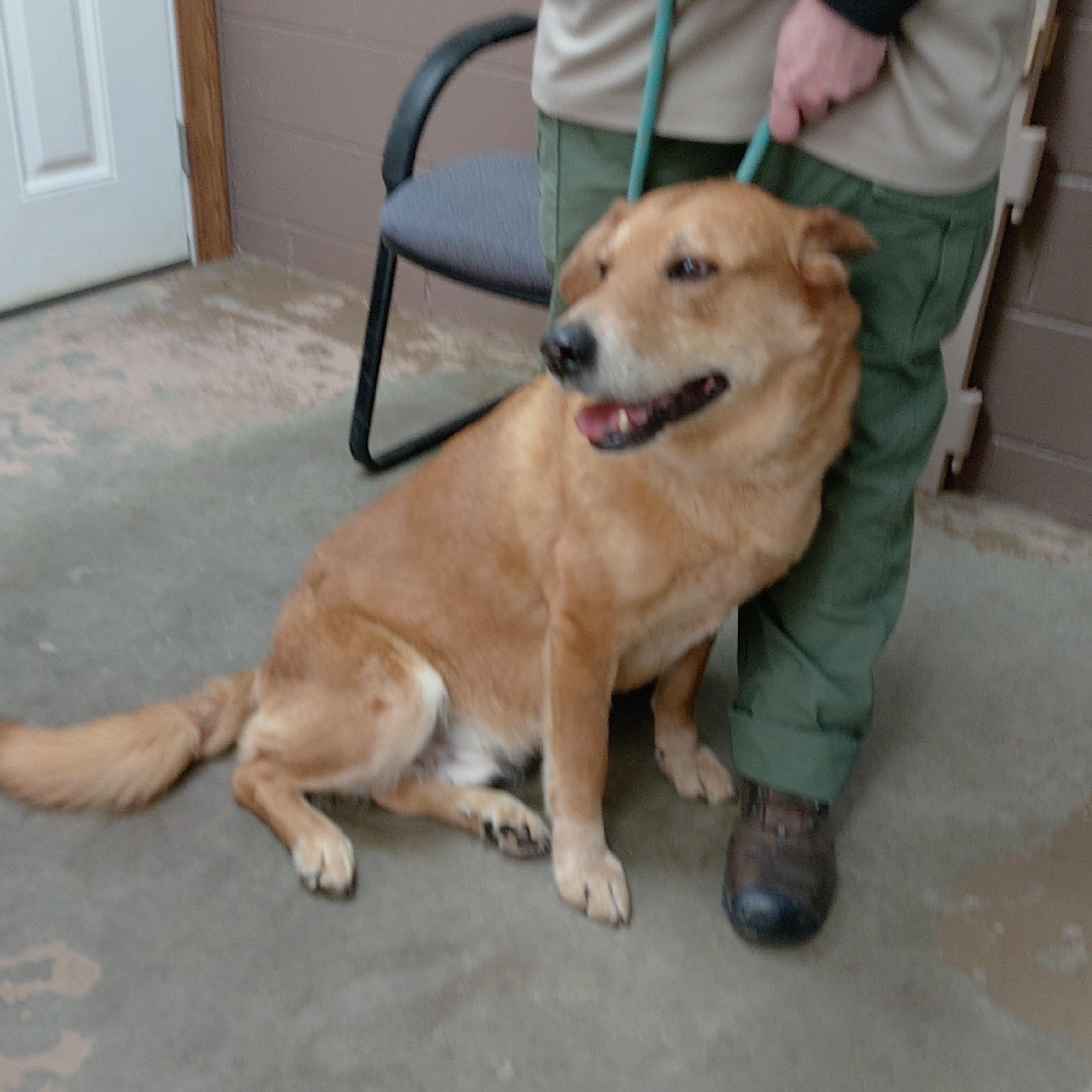 25-041 Available 4-11-25