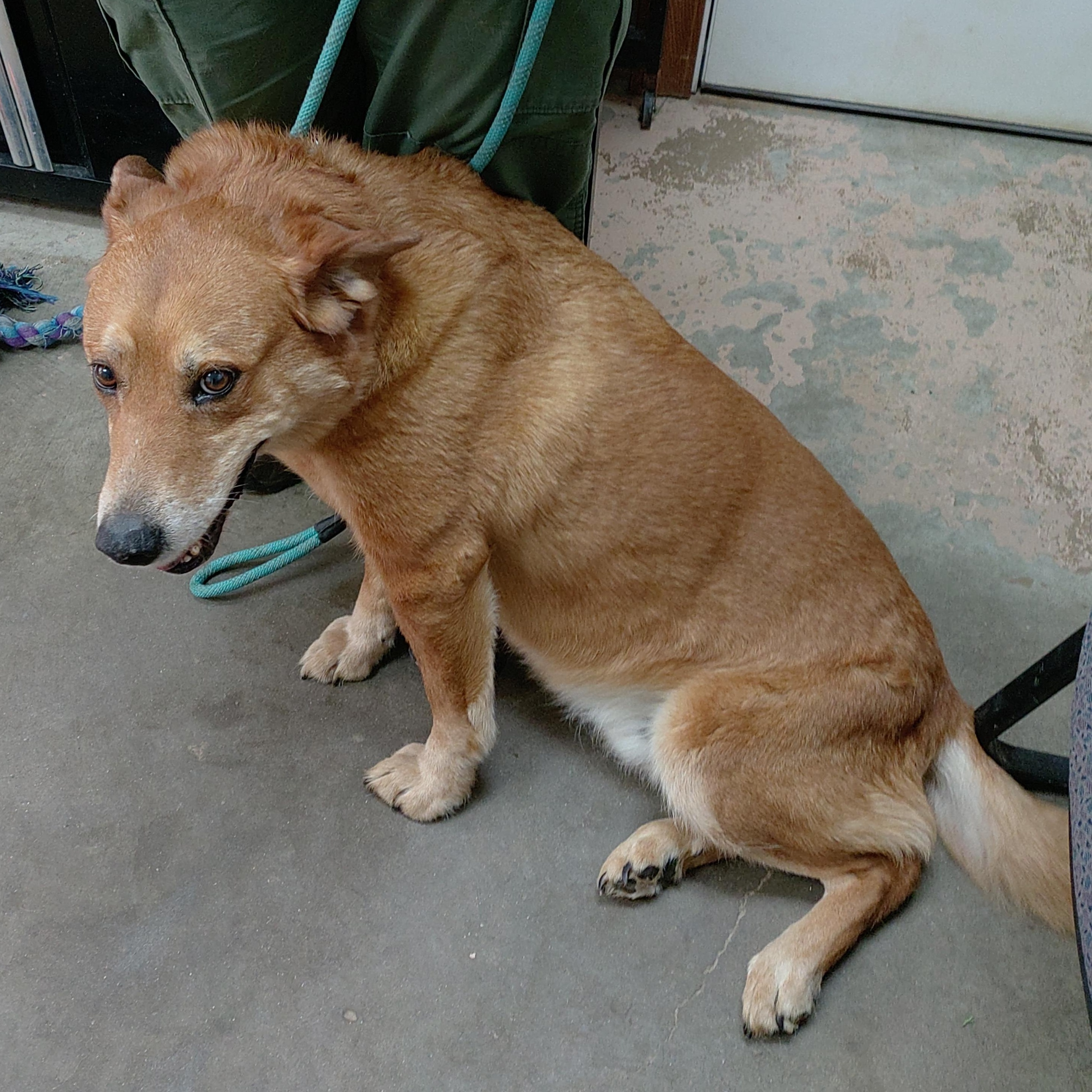 25-041 Available 4-11-25