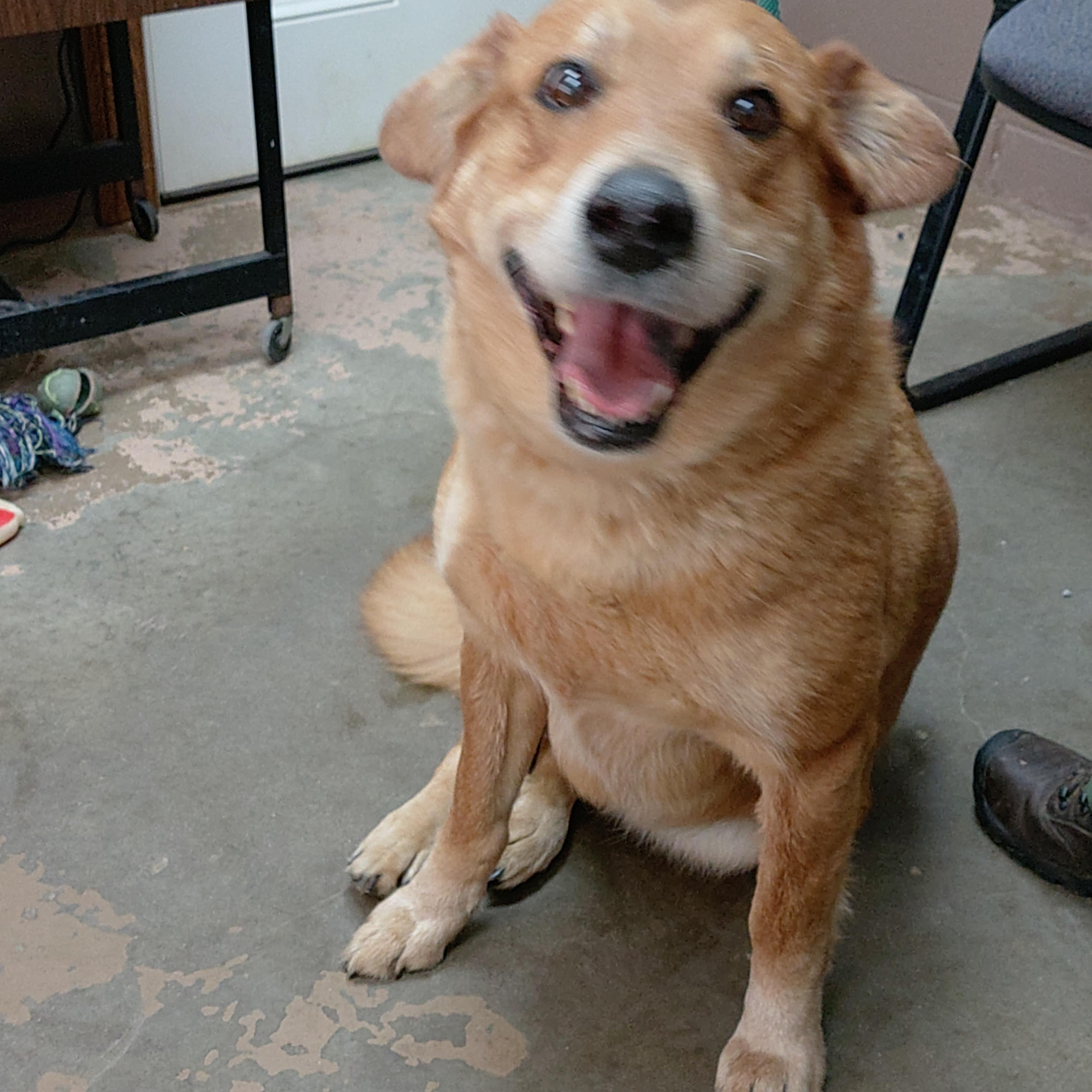 25-041 Available 4-11-25