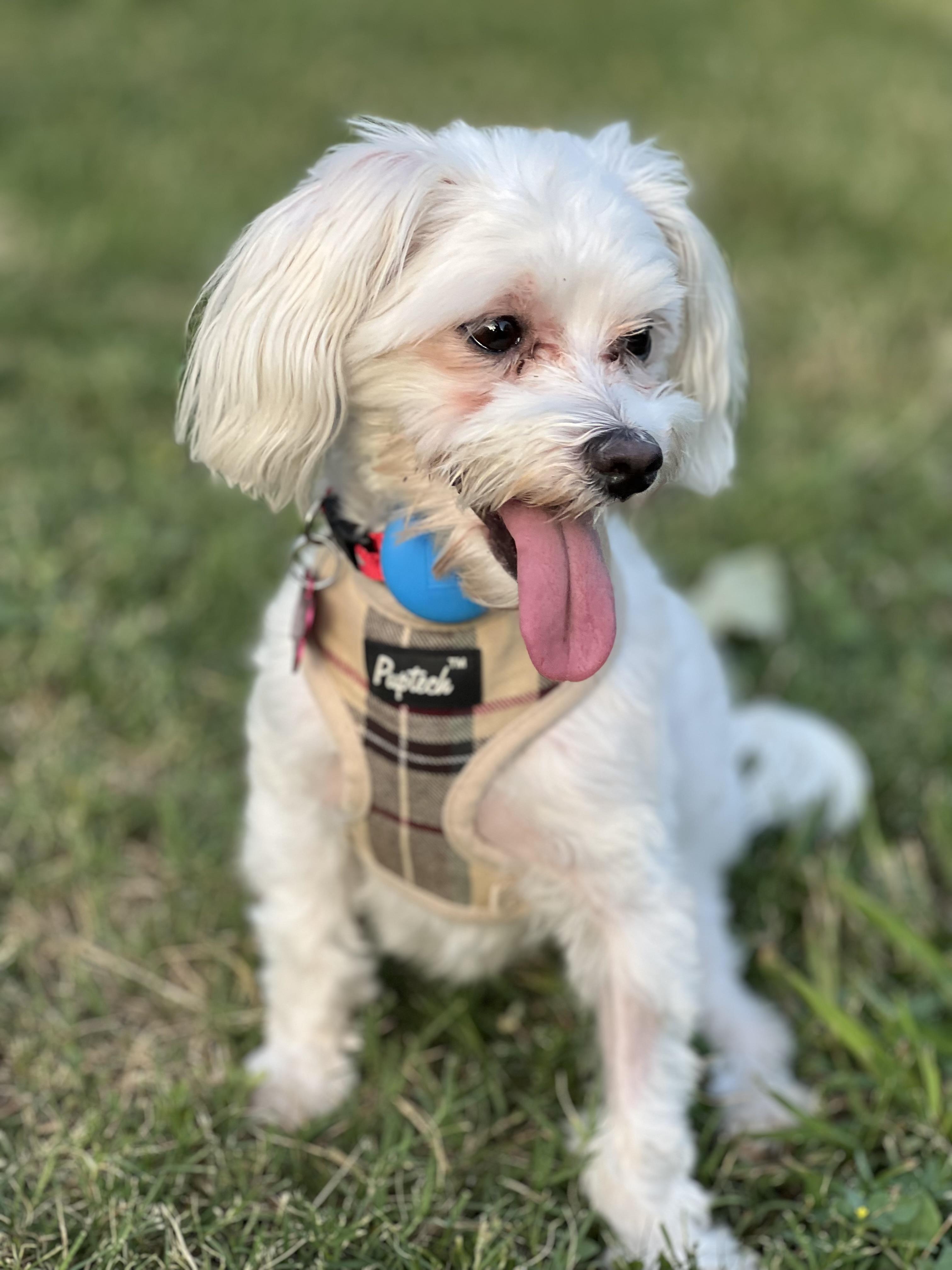 Millie