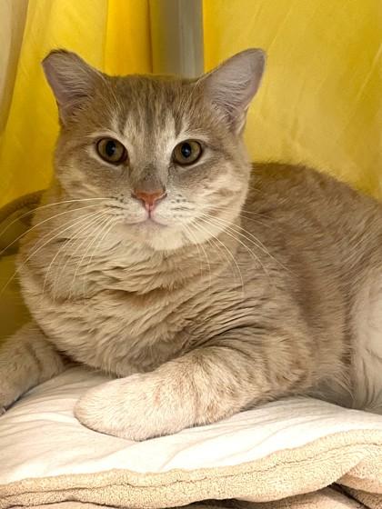 Anderson (and Gloria)