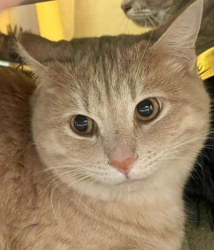 Anderson (and Gloria)