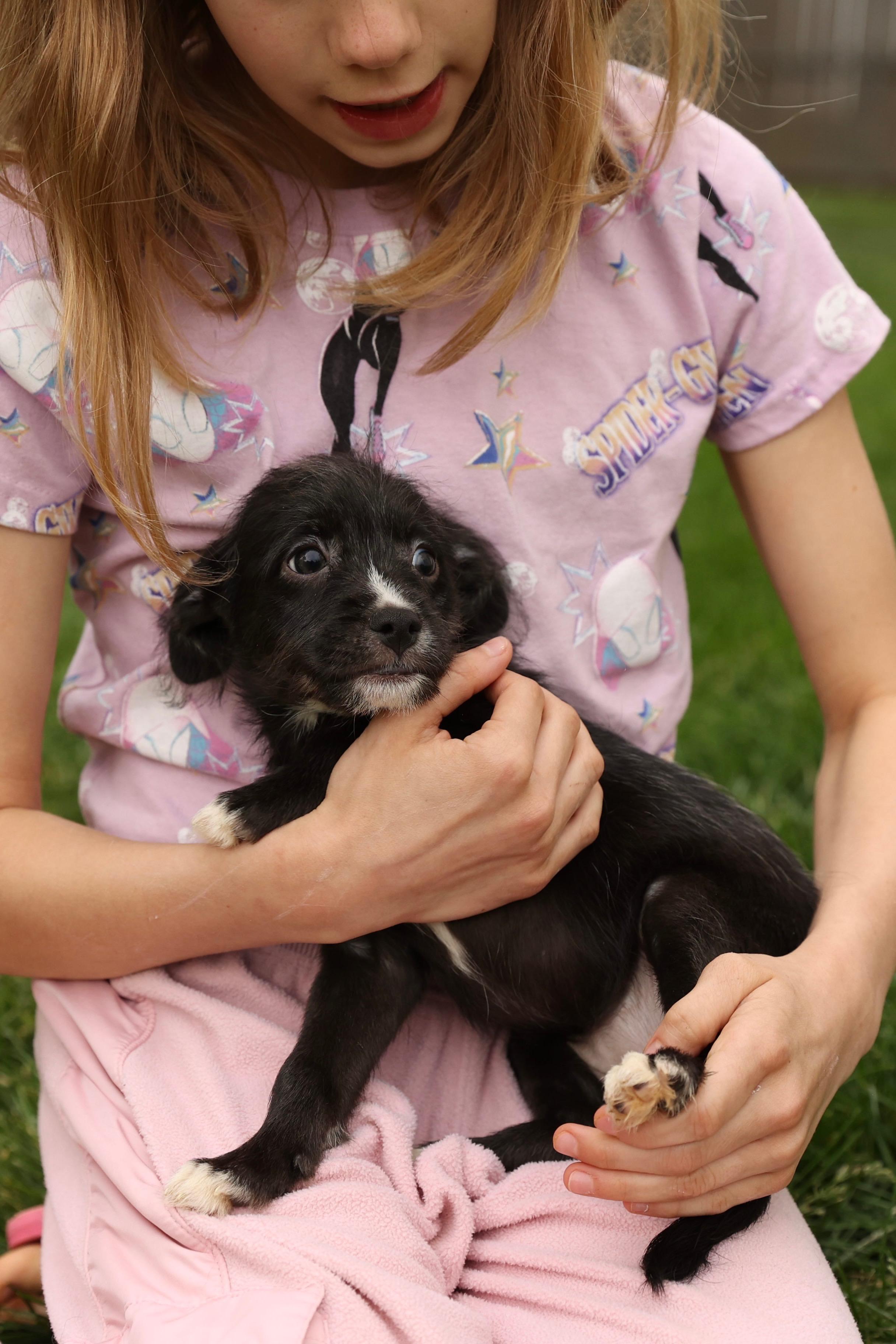 Enlarge Isla, a Adoptable mixed breed in Millsboro, DE image 5/6