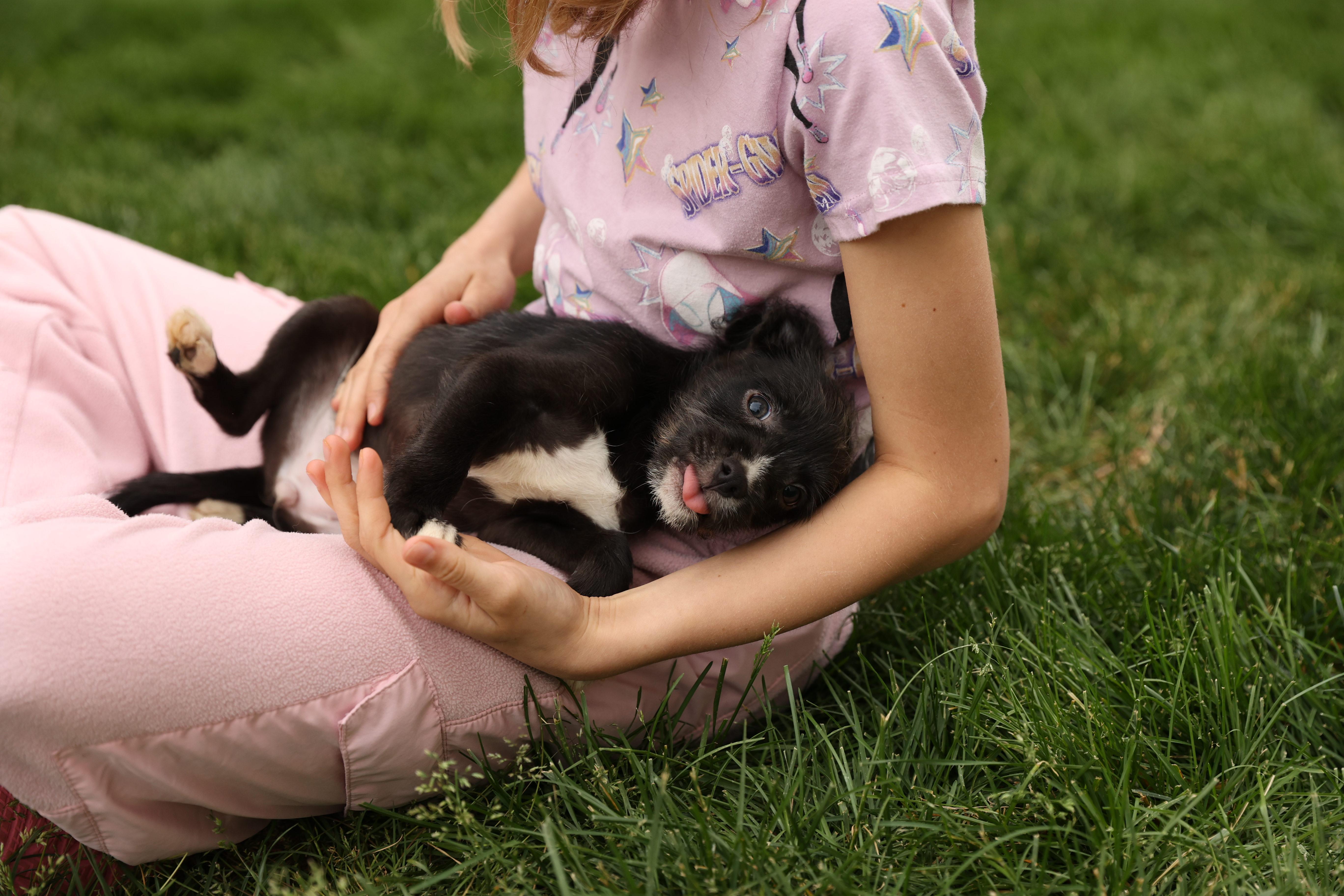 Enlarge Isla, a Adoptable mixed breed in Millsboro, DE image 4/6