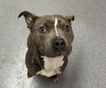 Puerto Rico — thumbnail 2