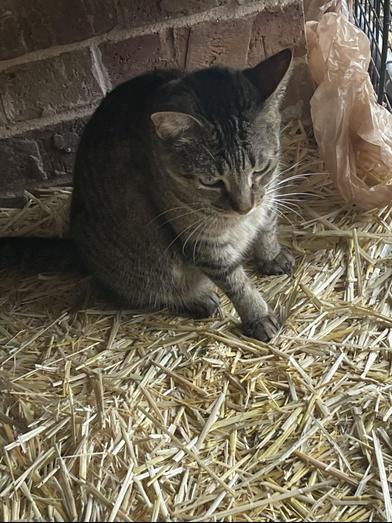 Heather — thumbnail 3