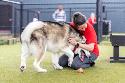 shadow fka fernando — thumbnail 2