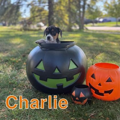 Charlie