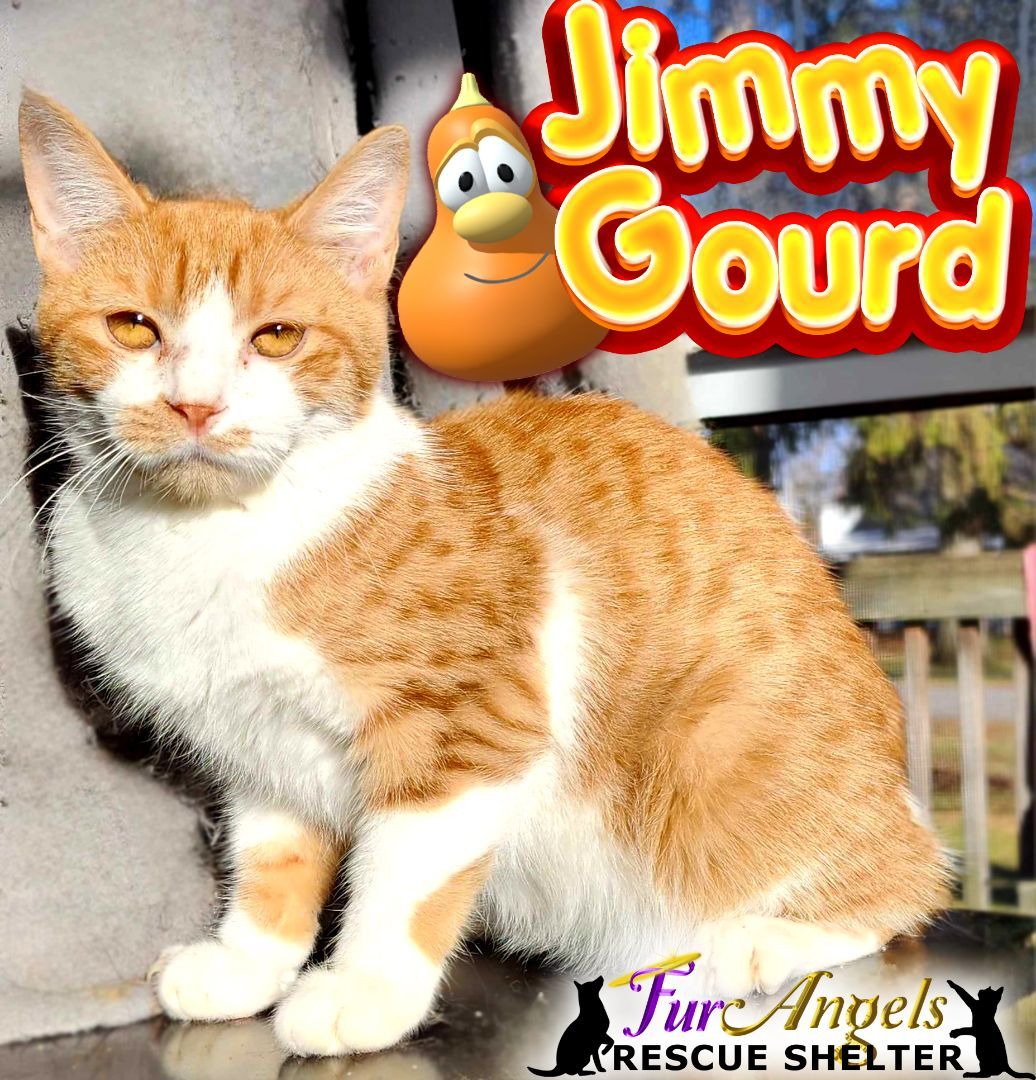 Jimmy Gourd