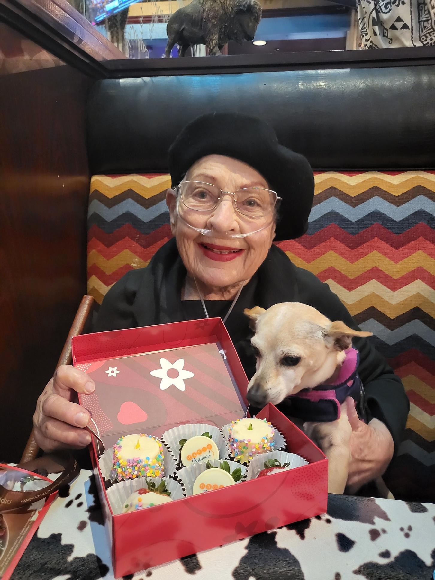 z (Courtesy Listing) Mario, Adoptable, Adult Male Chihuahua.