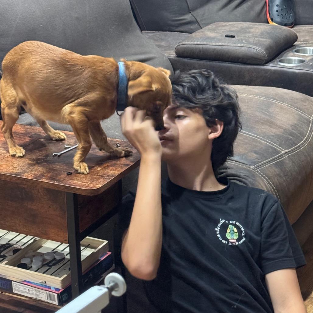 Skeeter, a Adoptable mixed breed in Katy, TX image 2/5