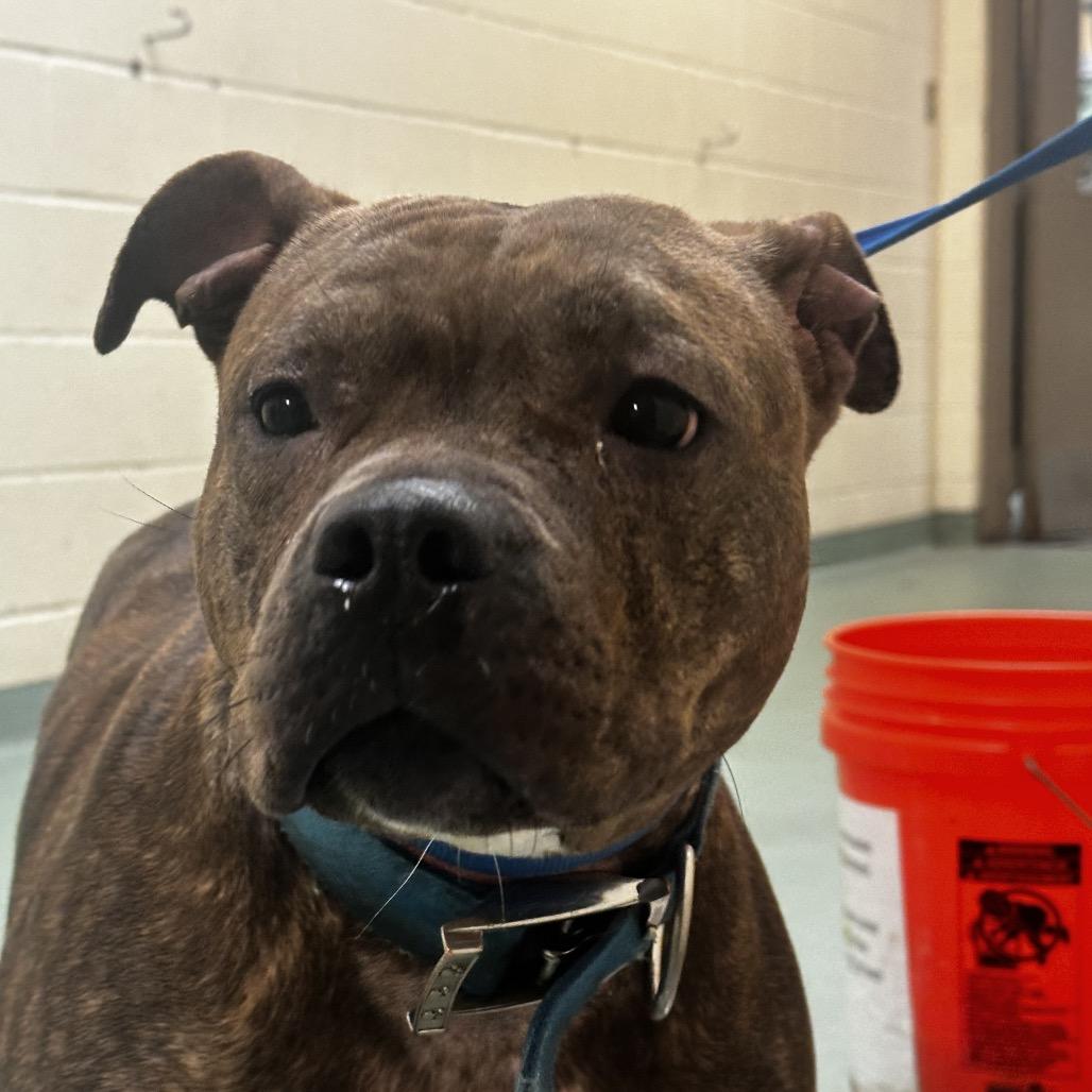 Lenna — thumbnail 3