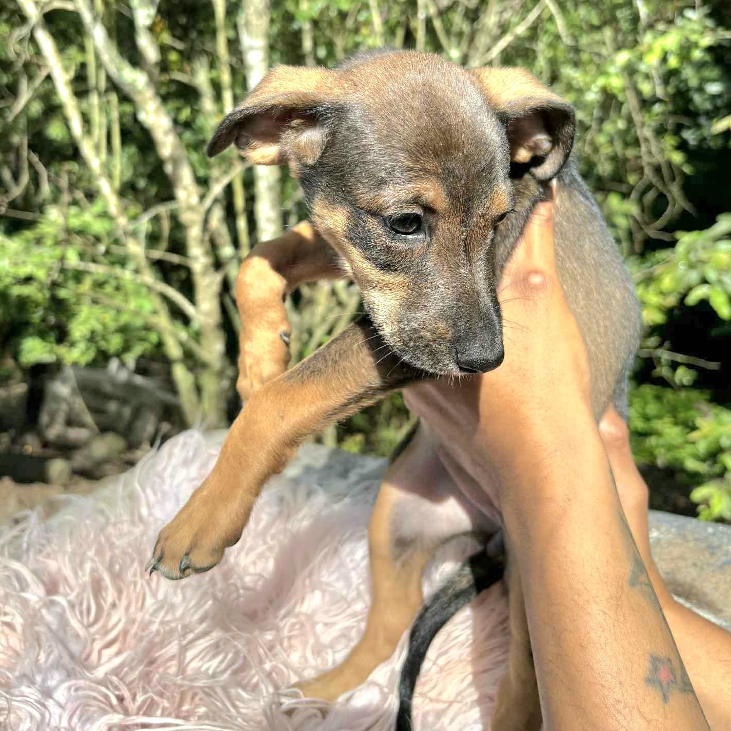 Gucci "loving You Is thumbnail 2