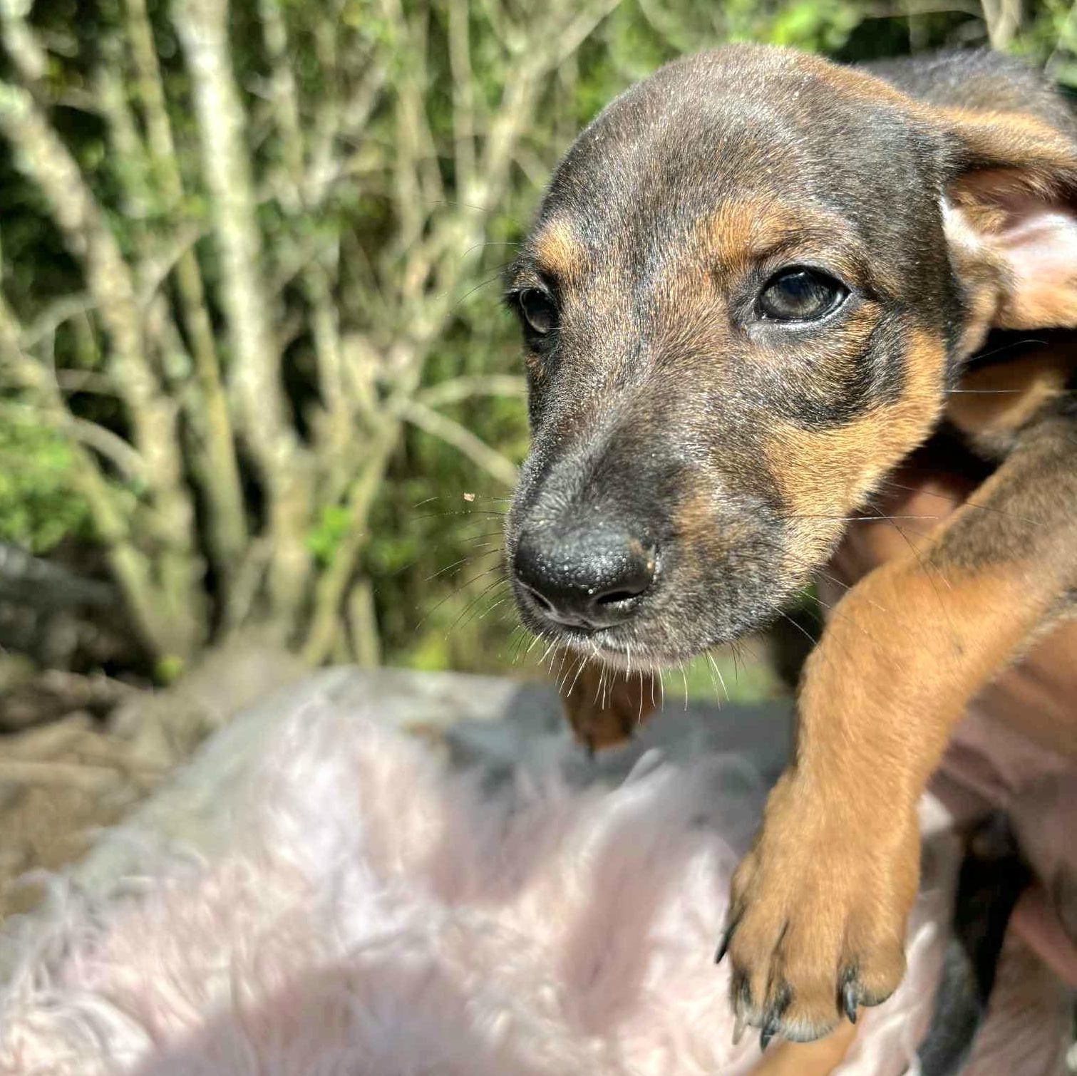 Gucci "loving You Is thumbnail 3