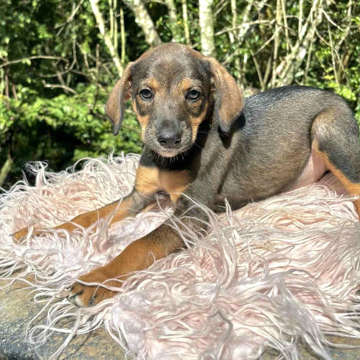 Gucci "loving You Is thumbnail 4