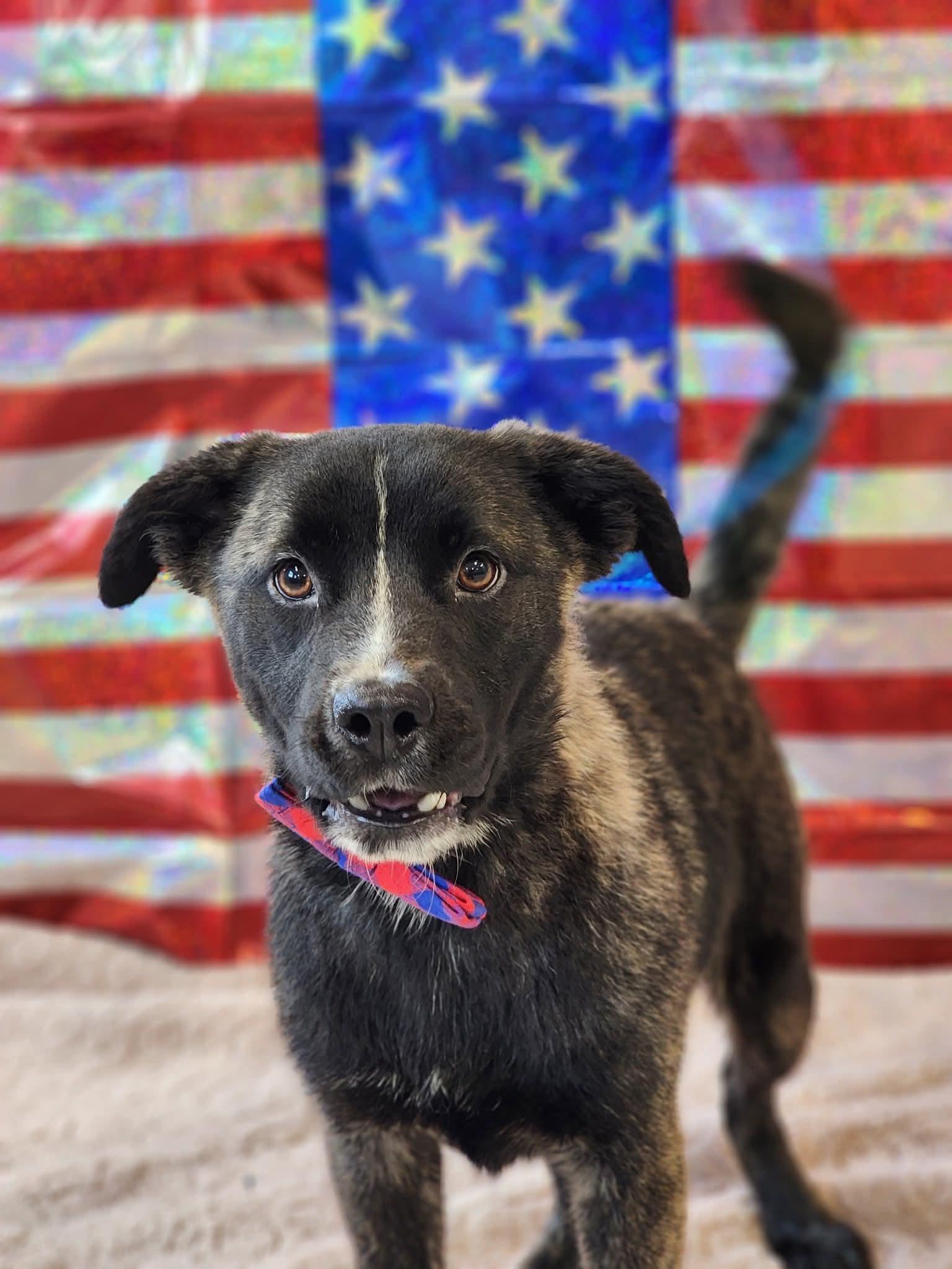 Coco - In Foster