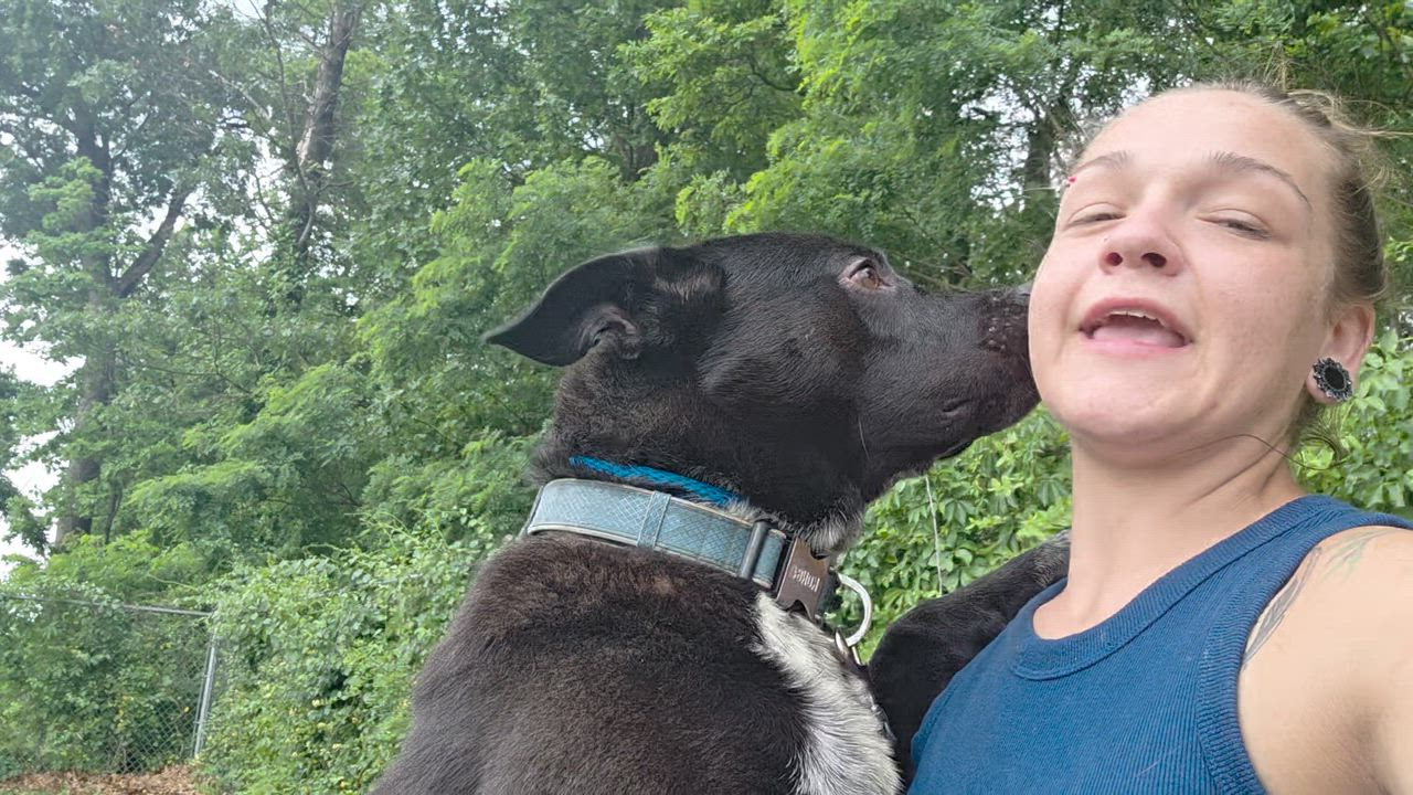 Enlarge Moose-Euthanasia list, a ADOPTABLE mixed breed in Monroe Twp, NJ video 6/6