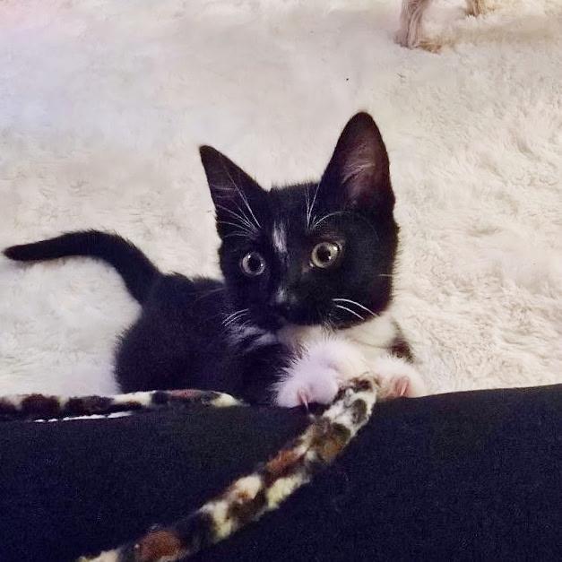 Trish aka Tishy Tush!