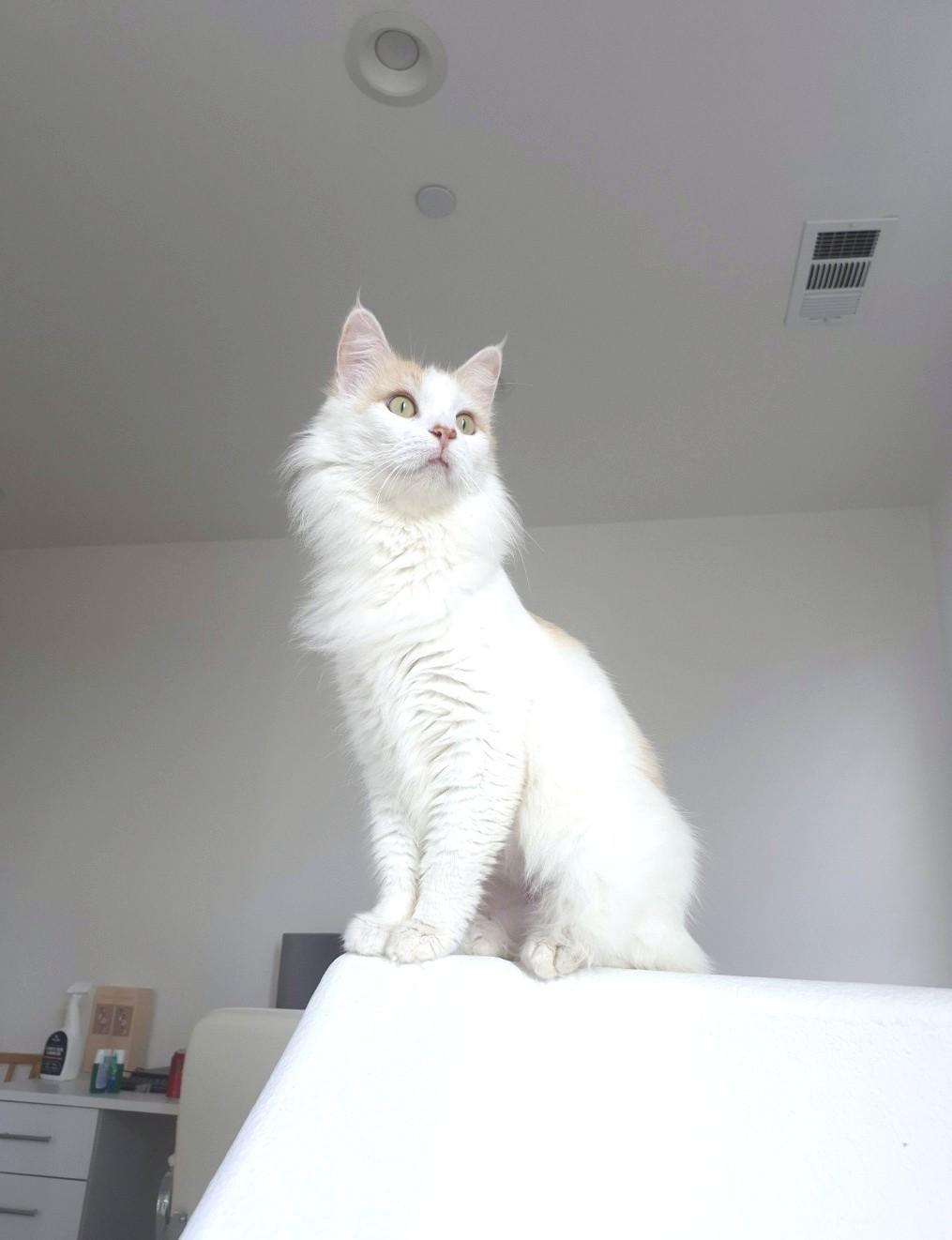 Bliss & Haven thumbnail 5