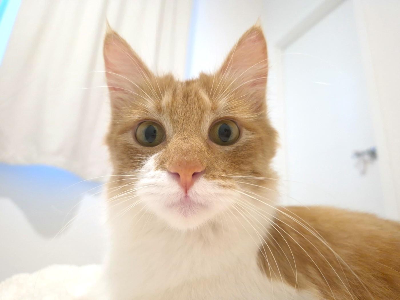 Bliss & Haven thumbnail 6