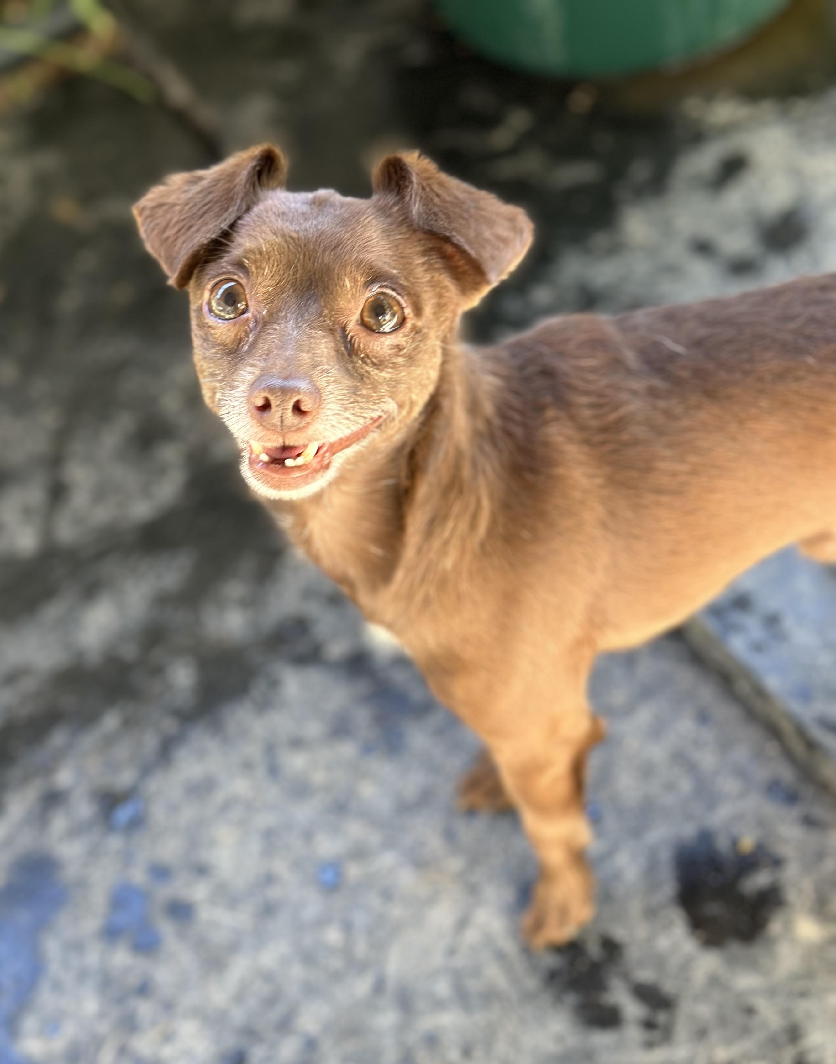 Coco