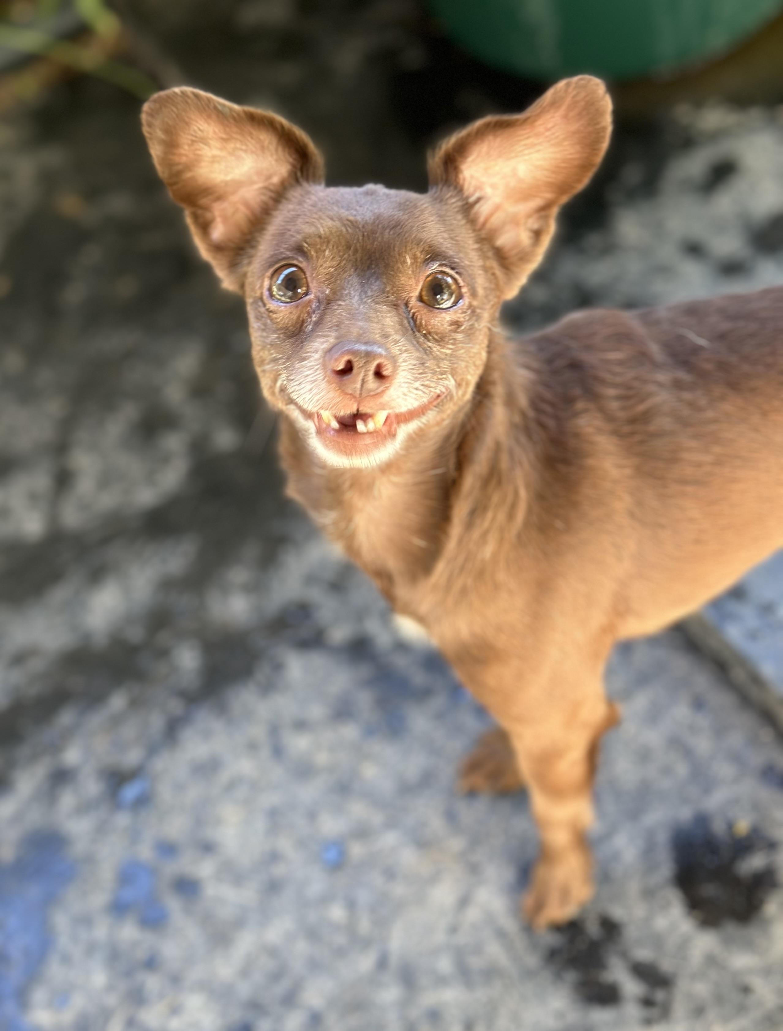 Coco