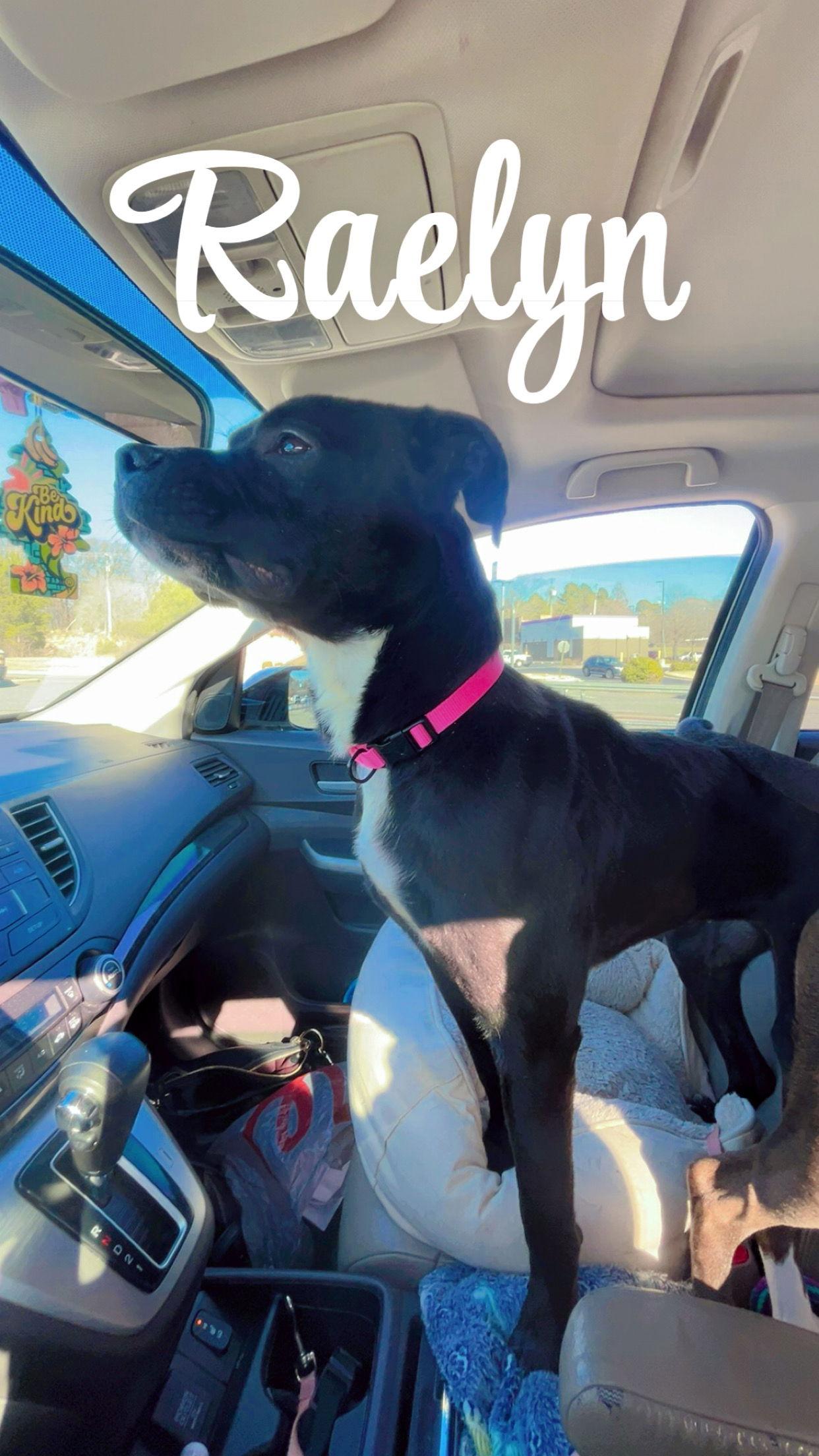 Raelyn — thumbnail 2