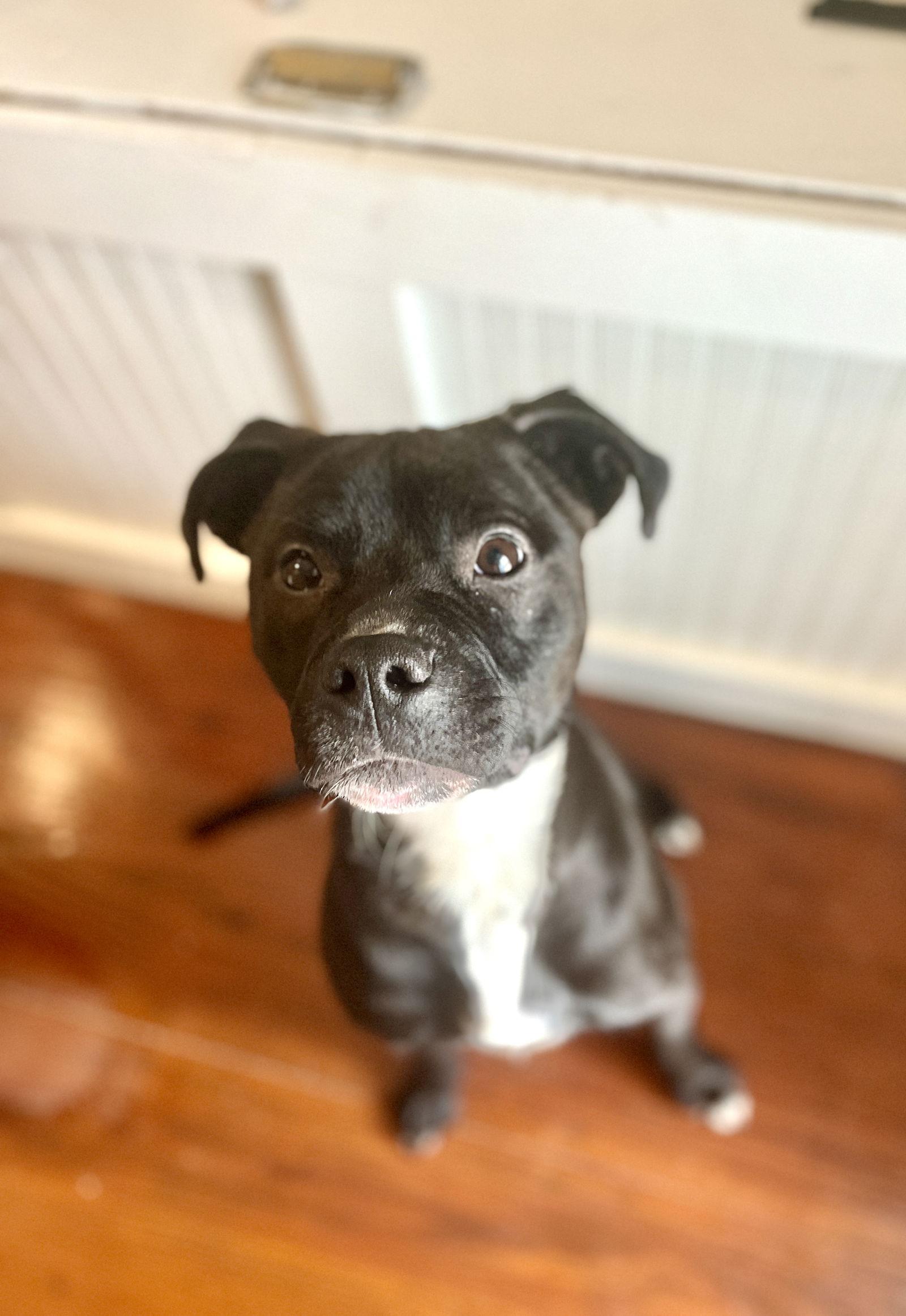 Raelyn — thumbnail 3