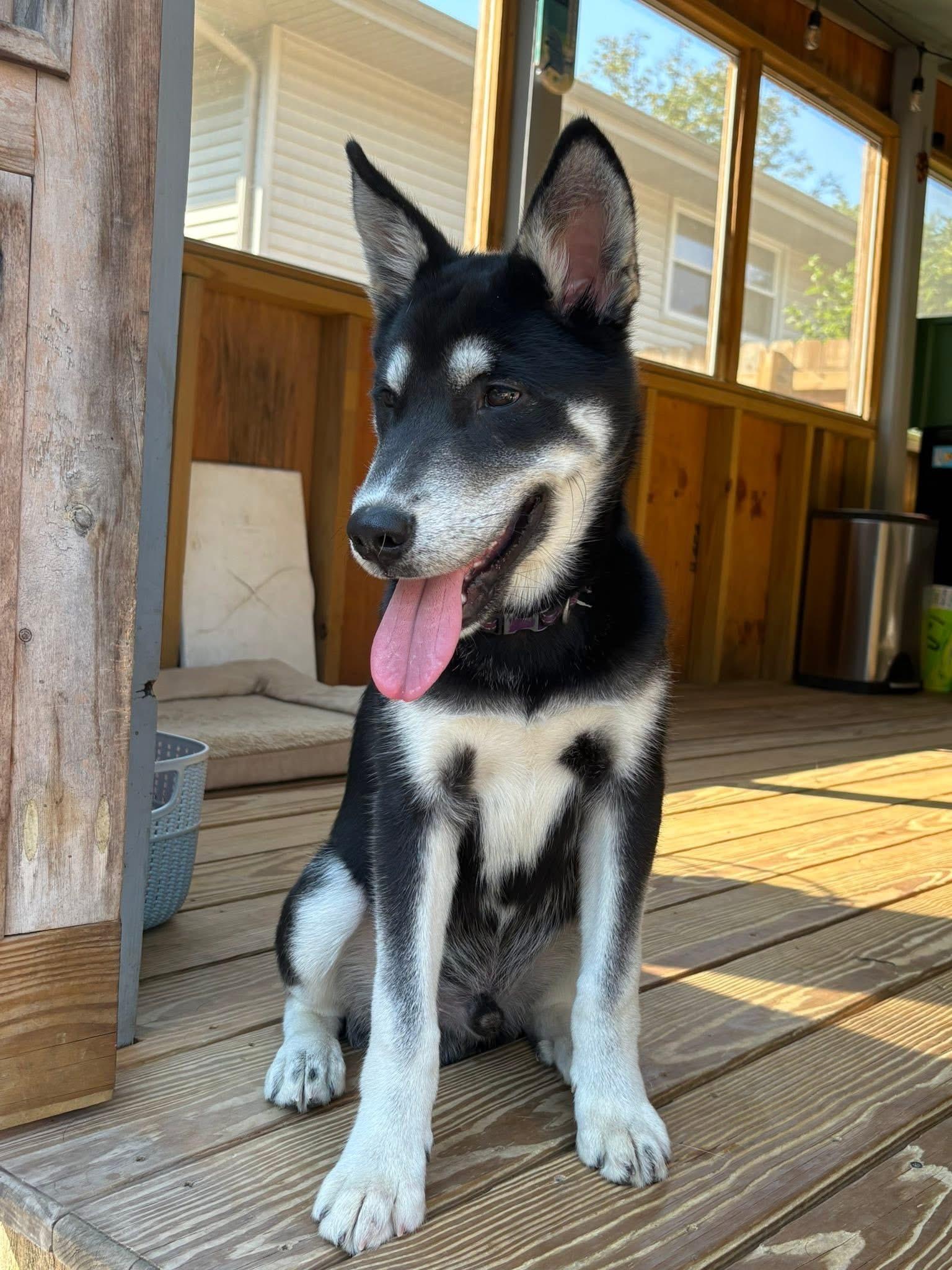 Cooper