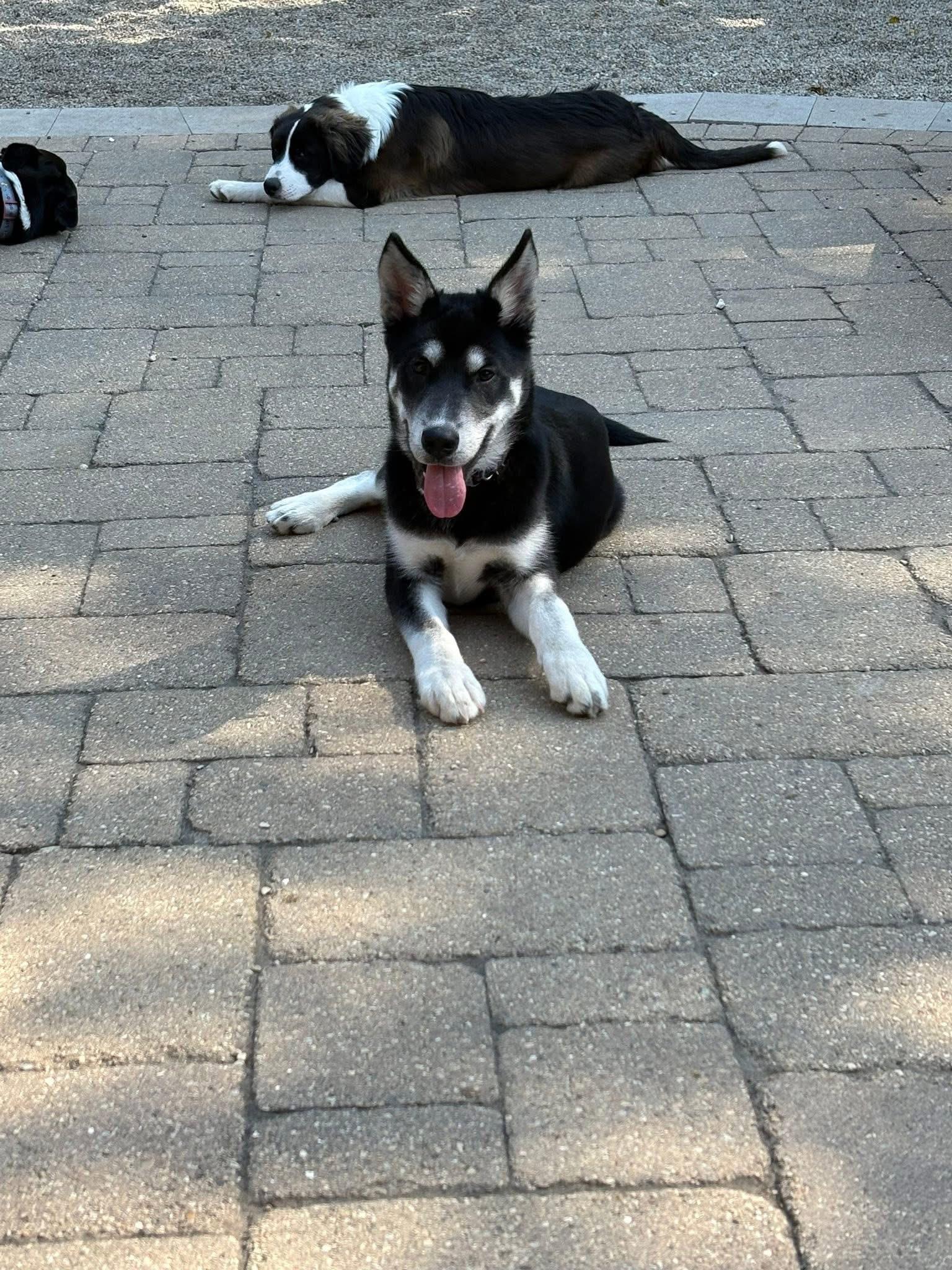 Cooper