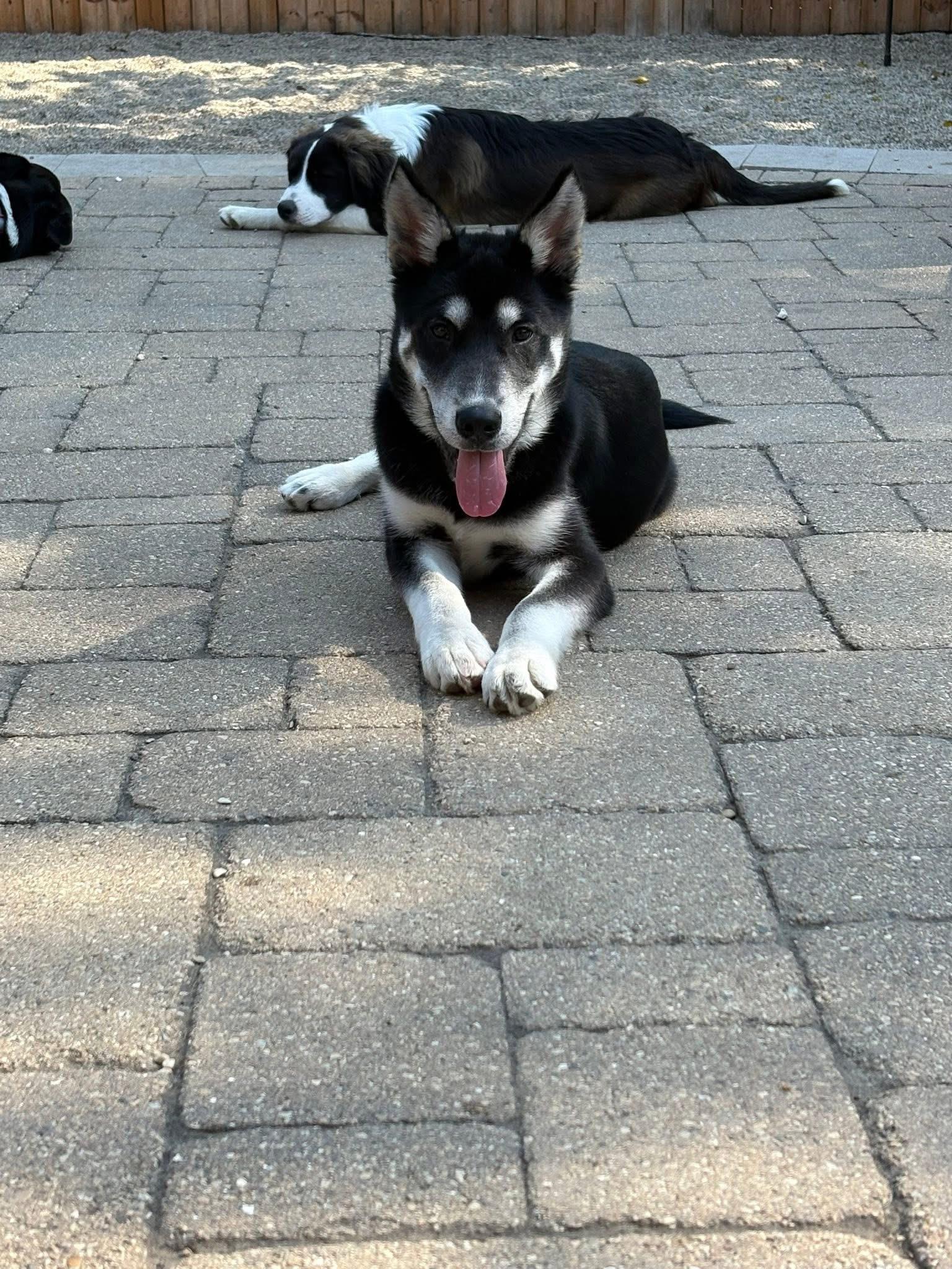 Cooper