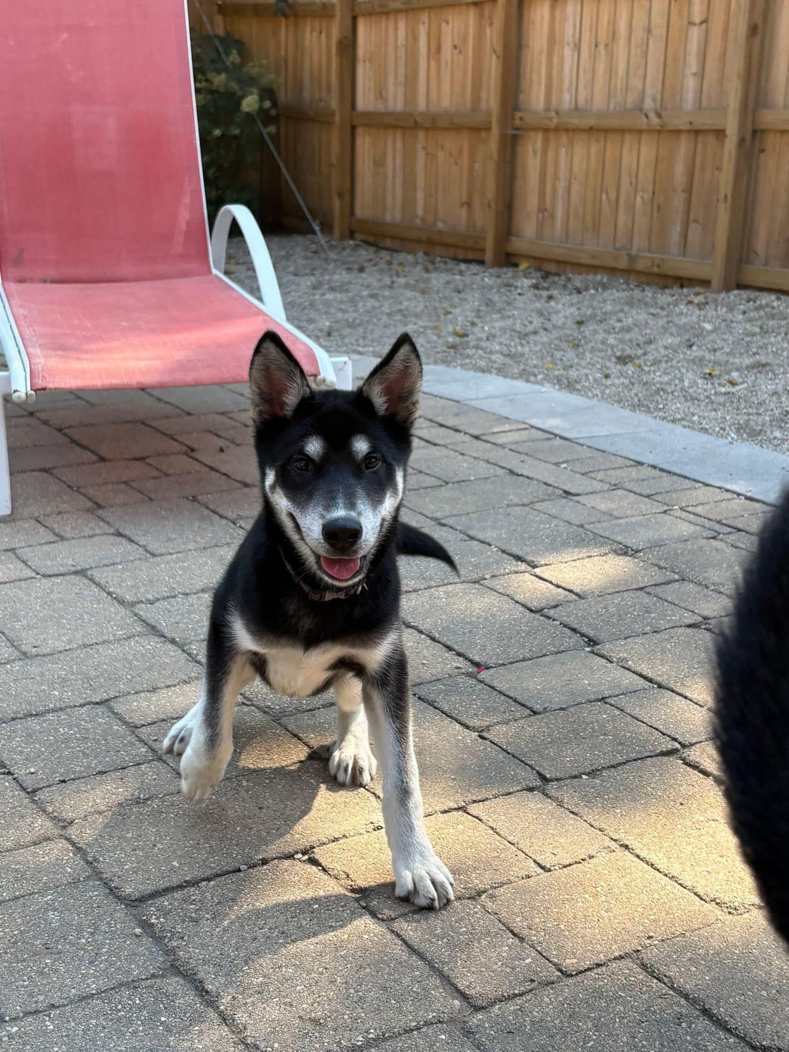 Cooper
