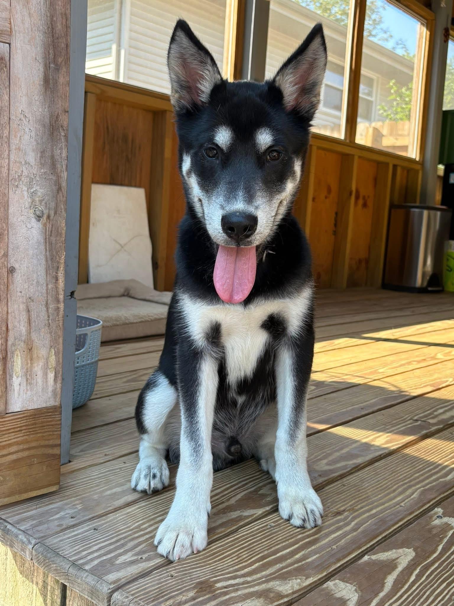 Cooper