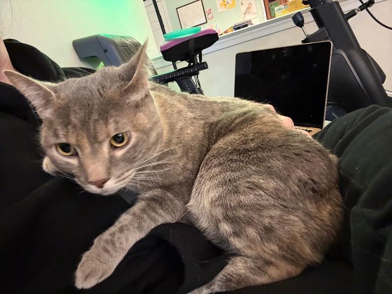 Leia — thumbnail 2