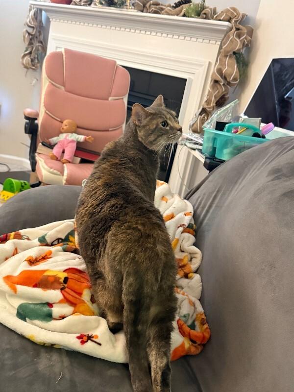 Leia — thumbnail 3