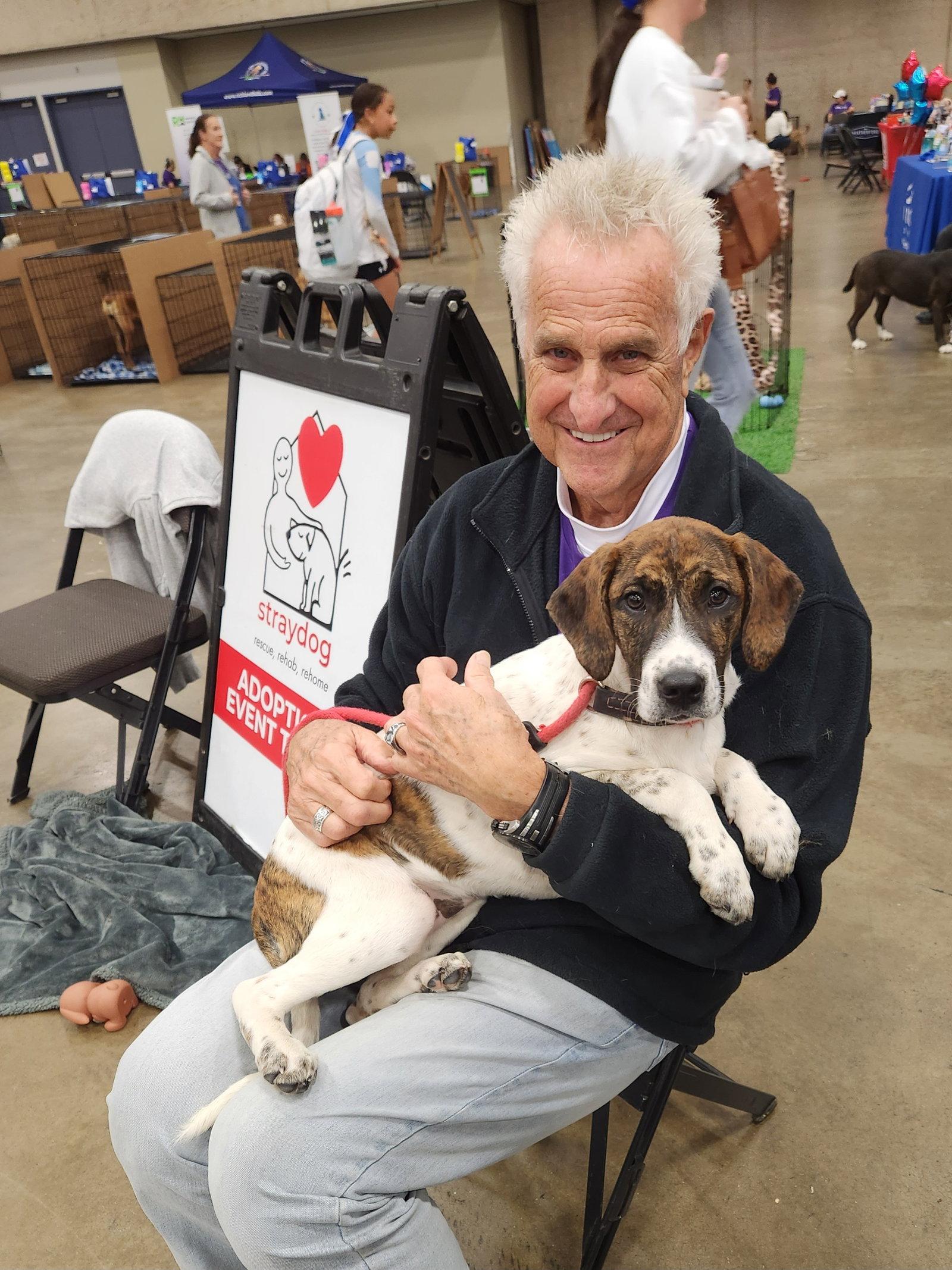 Enlarge Patches, a Adoptable mixed breed in Gun Barrel City, TX image 3/3