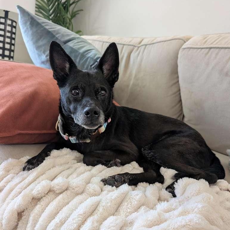 Princess — thumbnail 4